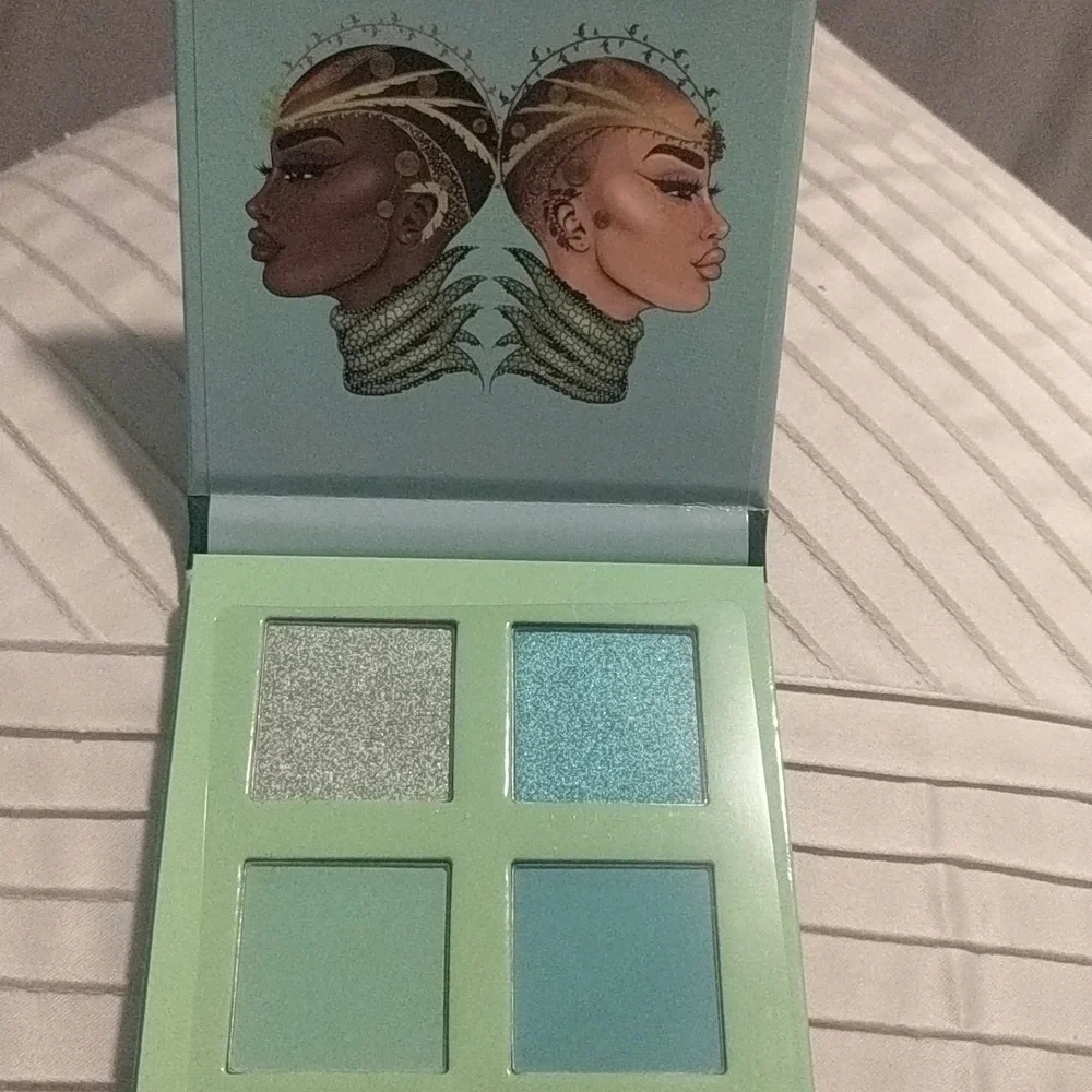 NWT Eyeshadow Palette